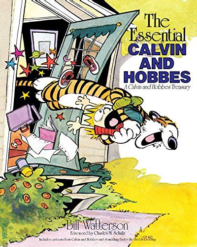 calvin and hobbes amazon|calvin and hobbes original.